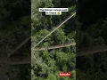 Download Lagu Kakum Canopy walk in Cape Coast, Ghana #Ghana #Ghanavlog #capeCoast #yearofreturn #visitghana