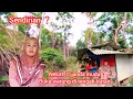Download Lagu NEKAT‼️JANDA MUDA INI BUKA WARUNG SENDIRIAN DI TENGAH HUTAN LINTAS JALAN SEPI