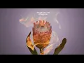 Anderholm - Iceberg