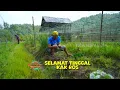 Download Lagu Segarnya Udang Galah Sambal Asam | JEJAK SI GUNDUL (12/09/25) Part 3