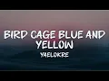 Lagu yaelokre - bird cage blue and yellow (lyrics)