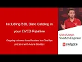 How to Use SQL Data Catalog for Continuous Classification Redgate