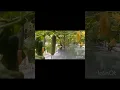 Download Lagu my cucumber garden#Aduri-vlog