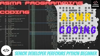ASMR Programming Coding Senior Developer Performs Python Beginner A Brick Game Using Own Codes