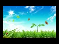 Somewhere Over the Rainbow (Norah Jones)