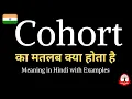 Cohort Meaning in Hindi Cohort Vocabulary with Examples