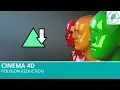 Cinema 4D R19 Polygon Reduction