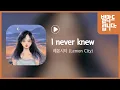 Download Lagu 레몬시티 (Lemon City) - I Never Knew / 가사