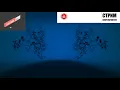 ChillYourMind Radio • 24/7 Music Live Stream | Deep House & Tropical | Chill Out | Dance Music