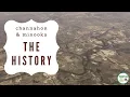 Channahon and Minooka A History