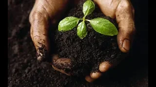 كتاب حبة الحنطة للاب متى المسكين كتاب صوتي مسموع 