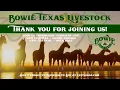 Bowie Texas Livestock March 7th Catalog Sale
