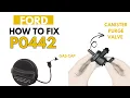 How To Fix P0442 Error in FORD Complete Fixing Guide