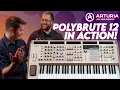 The Arturia Polybrute 12 DEEP DIVE Gear4music Synths Tech