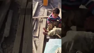 ذيب وبيب بالجبا 