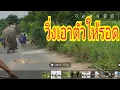 Download Lagu ระทึกช้างตกมันไล่วิ่งกระเจิง