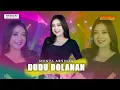 Download Lagu Shinta Arsinta - Dudu Dolanan Ft Lavira Music | Dangdut (Official Music Video)