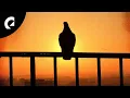 Download Lagu Hampus Naeselius - Where Heroes Come to Die (Royalty Free Music)