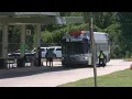 SporTran looks to make zero faire ridership program permanent