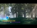 Download Lagu Sonic AMV  - Find Your Flame