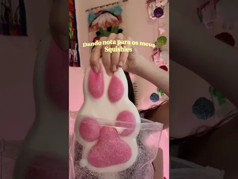 Dando nota para os meus squishies