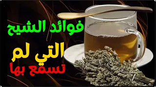 فوائد الشيح    فوائد شرب مغلي عشبة الشيح وبعد   ايام هذا ماسوف يحدث لجسمك وفق أحدث الدراسات دندنها