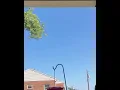 Download Lagu Thursday afternoon vulture #shorts #ytshorts #viralshort #nature #vultures #birds 9/18/25