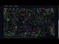 Artificial Life Simulation 1 Predator Start