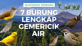 masteran 10 menit 7 jenis burung dan jangkrik lengkap dengan gemericik air