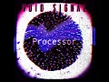 Processor
