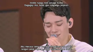 Download EXO - MY LADY, MY TURN TO CRY, MOONLIGHT, CALL ME BABY (ACOUSTIC) AT EXORDIUM (INDO SUB) MP3