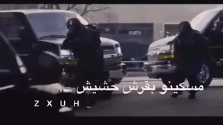 مـــســـكـــيـــنـــه بـــقـــرش حـــشـــيـــش 