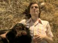 Download Lagu Island In The Sun by Weezer | Interscope