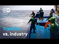 Download Lagu Bullied by the EU? The last pole-and-line fishermen of the Azores | DW Documentary MP3