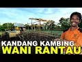PROGRES KANDANG KAMBING WANI RANTAU