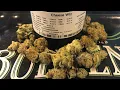 Cheese Wiz Strain Review PA Medical