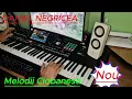 Download Lagu █▬█ █ ▀█▀ 2023 - MUZICA CIOBANEASCA - Daniel Negricea [Domn' Profesor Danciu]
