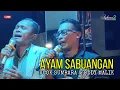 Download Lagu Nasib Cando Ayam Sabuangan Live Terbaru 2023 Ucok Sumbara feat Ody Malik