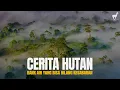 Hutan: Bank Air yang Bisa Hilang Kesabaran