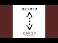 Halimem (Çukur Dizi Müziği)