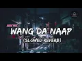 Wang Da Naap ( Slowed and Reverb ) #ammyvirk #punjabi #slowed #lofi