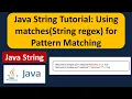Java String Tutorial Using matches String regex for Pattern Matching Java Tutorial