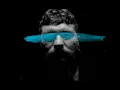 Teddy Swims - Mr Know It All