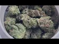SPECIAL OPS SMALL FLOWER BY GLEAF PA