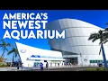 FULL TOUR Mote Science Education Aquarium