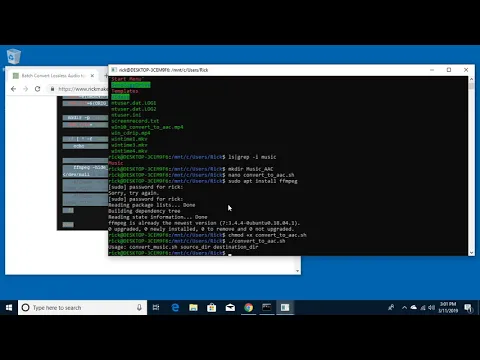 Download MP3 Batch Convert Lossless Audio to AAC on Windows 10 WSL using FFmpeg Script