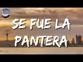 🎵 Grupo Firme, Grupo Recluta – Se Fue La Pantera (Letra/Lyrics)