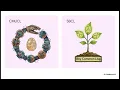 SBCL Compiler Steel Bank Common Lisp