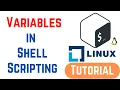 How to Use Variables in Shell Scripting Shell Scripting Tutorial for Beginners