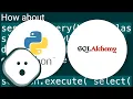 SQLAlchemy IN clause